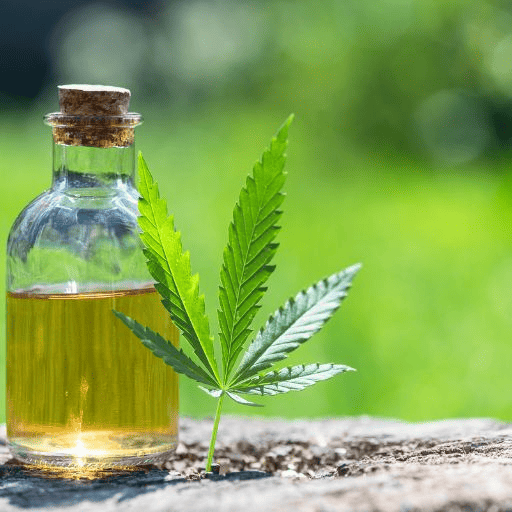 Rick Simpson Oil Next to a Marijuana Leaf