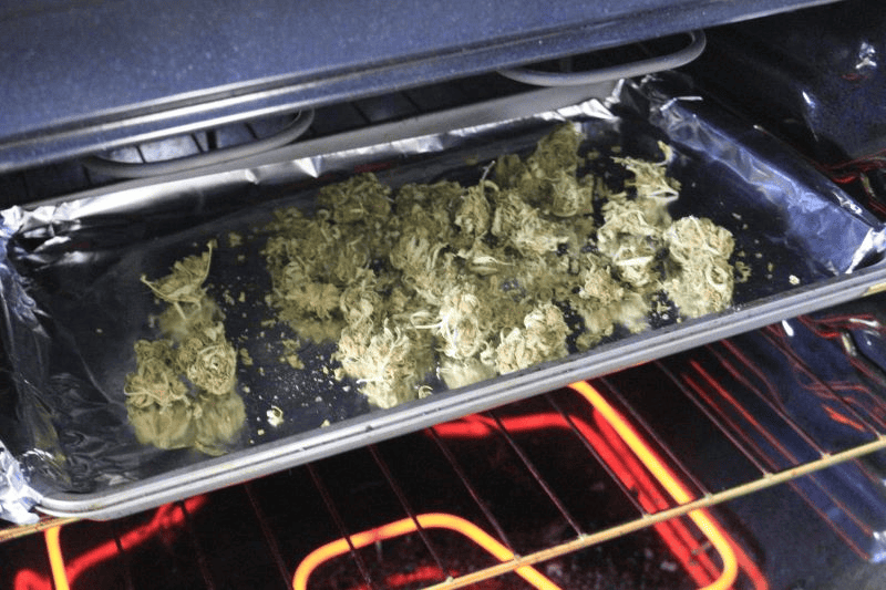 drying cannabis leaves and buds in a convection oven undergoing decarboxylation 